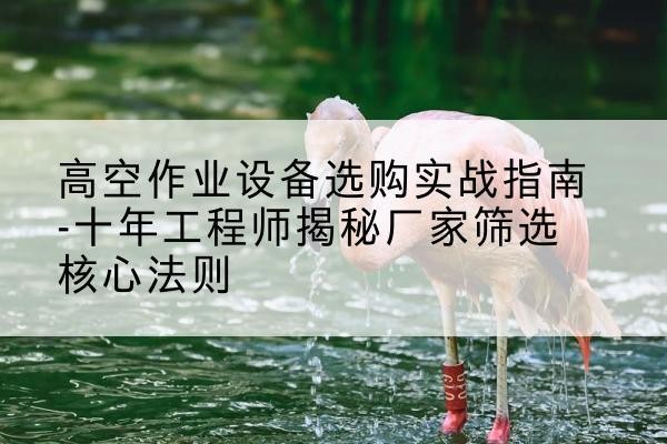 富宁剪叉式升降机厂家-高空作业设备选购实战指南-十年工程师揭秘厂家筛选核心法则