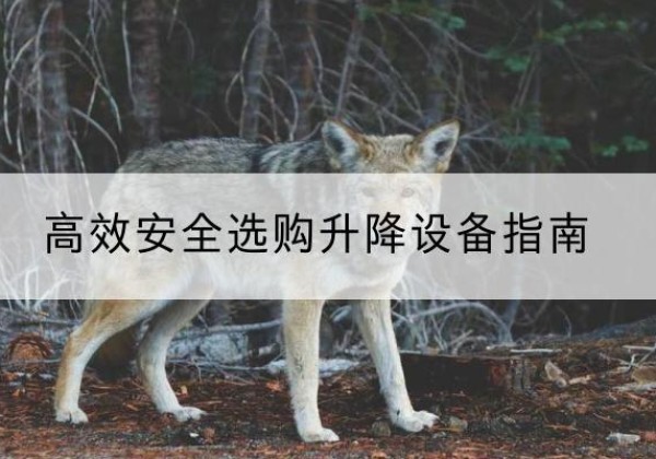 富宁升降货梯厂家推荐-*安全选购升降设备指南