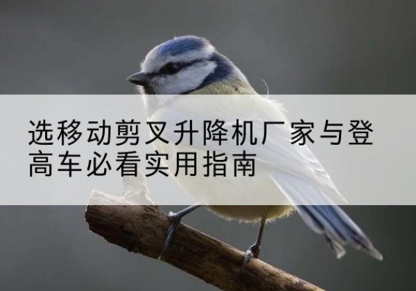 富宁电动升降机厂家-选移动剪叉升降机厂家与登高车必看实用指南