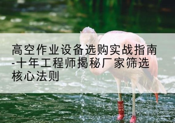 富宁剪叉式升降机厂家-高空作业设备选购实战指南-十年工程师揭秘厂家筛选核心法则